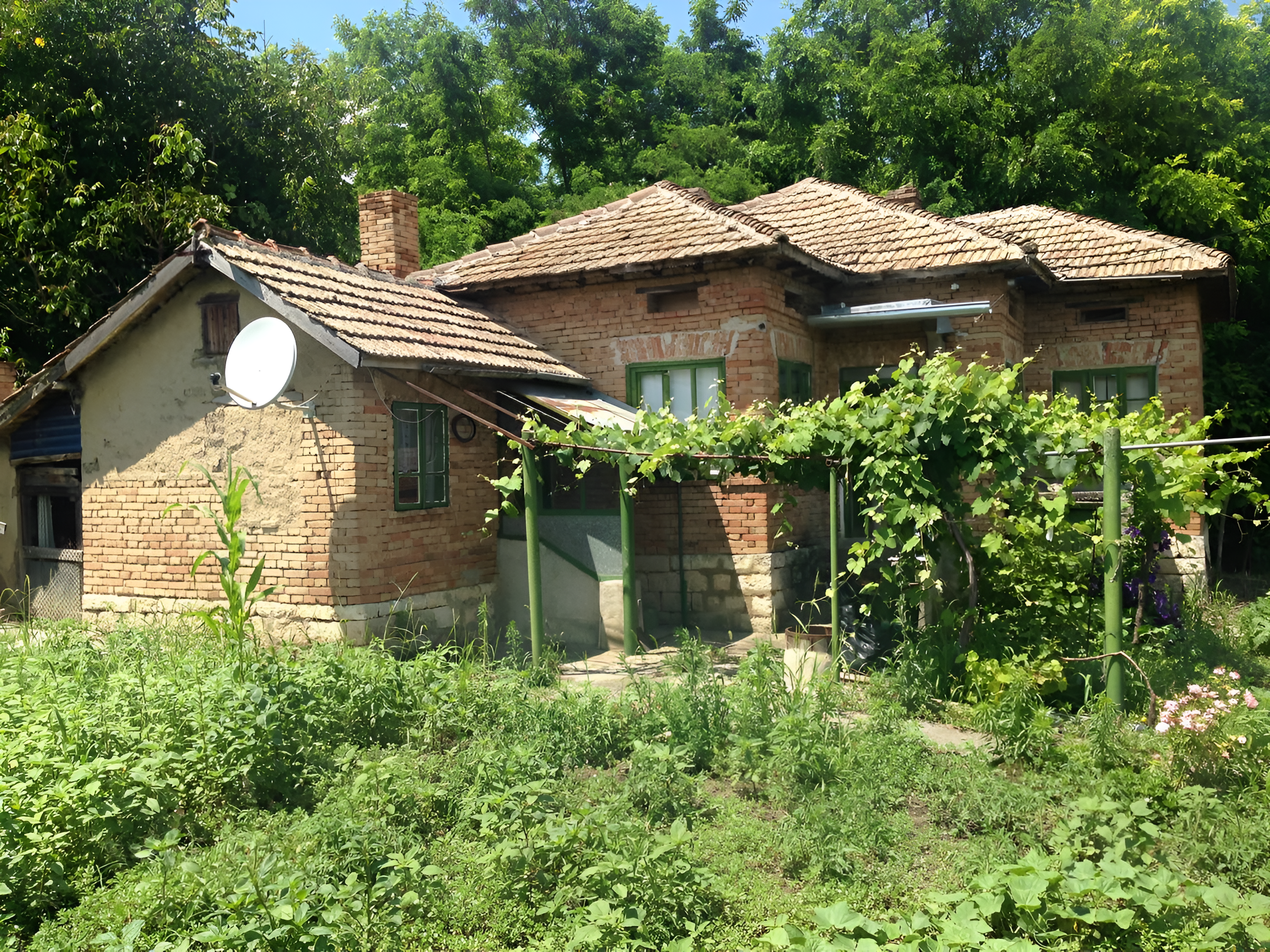 House for Sale in Alexandria 1800m² Yard Near Sea